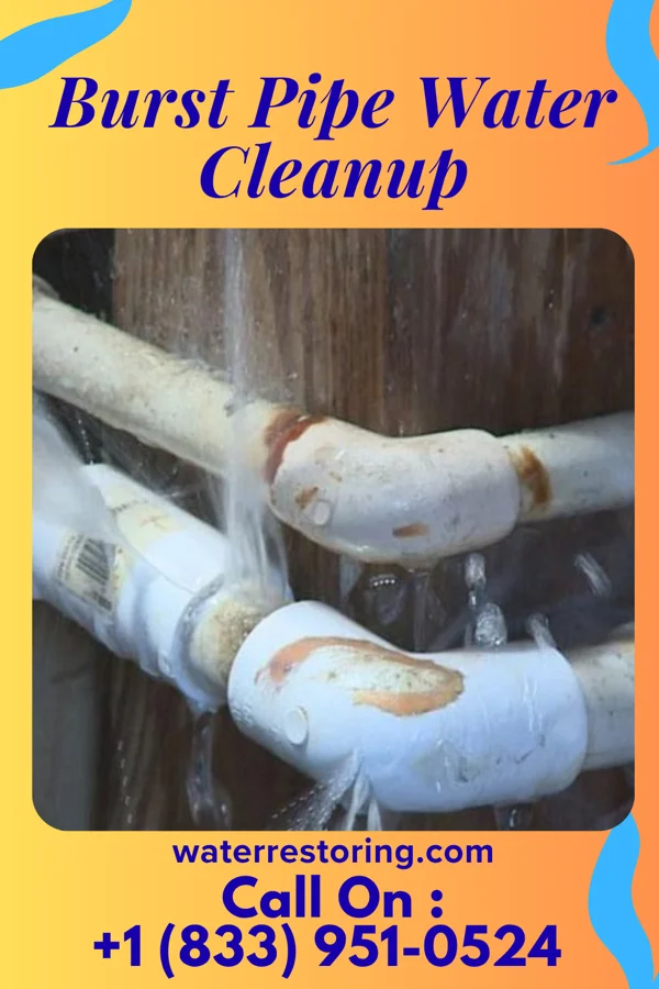 Burst Pipe Water Cleanup in La Prairie, IL