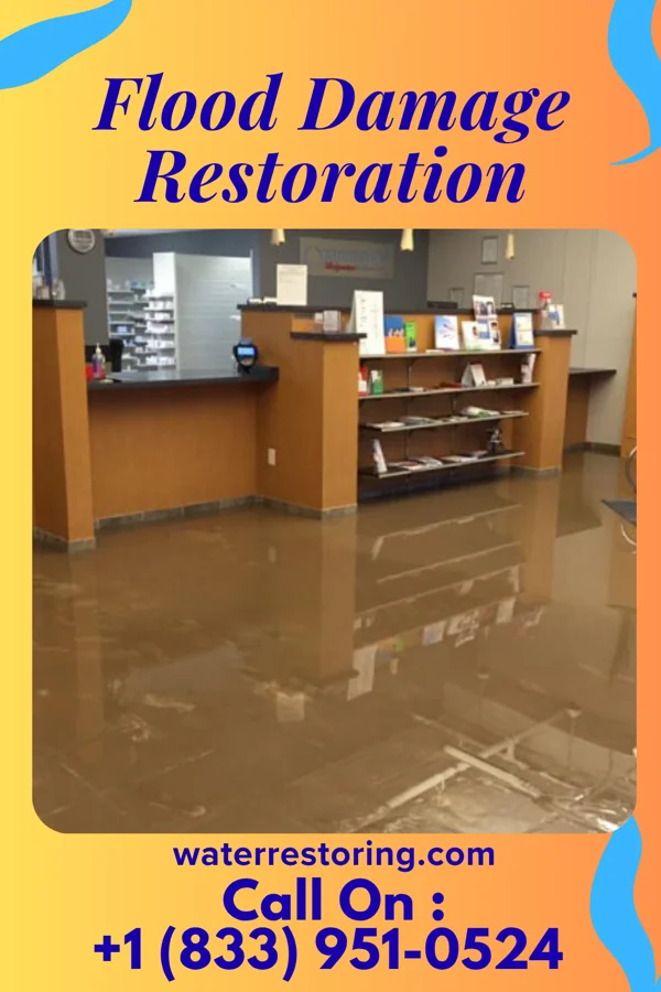 Flood Damage Restoration in La Prairie, IL
