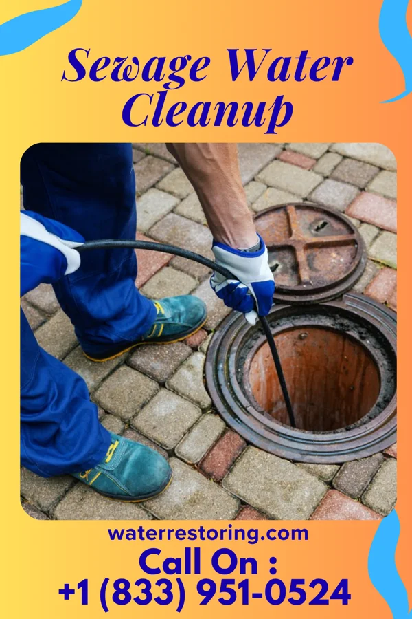 Sewage Water Cleanup in La Prairie, IL